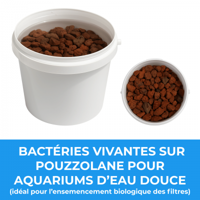 Bacteries vivantes sur pouzzolane pour aquariums d eau douce ideal pour l ensemencement biologique des filtres 