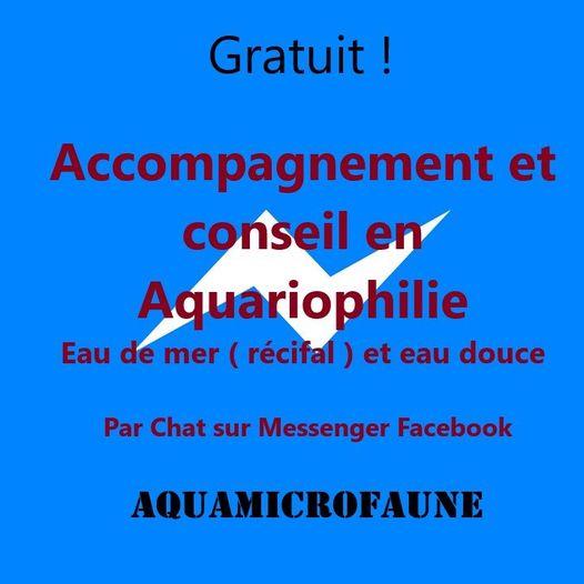 Gratuit