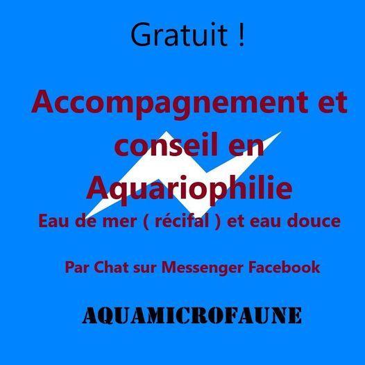 Se faire aider pour bien débuter en aquariophilie d'eau de mer