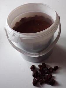 La référence en matière de bactéries pour aquarium d'eau douce