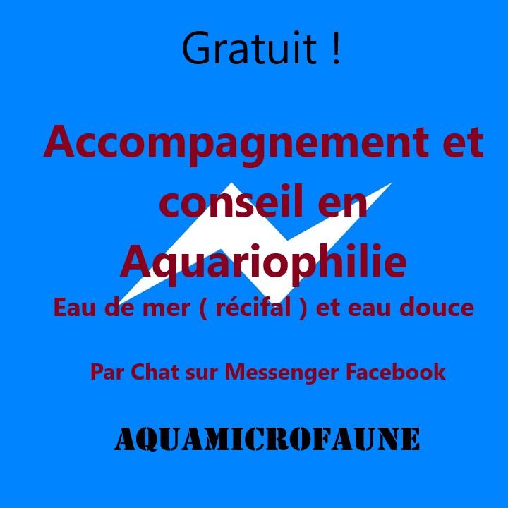 Image bouton conseil