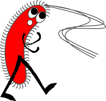 Tout savoir sur les kits d'ensemencement pour aquariums