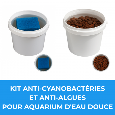 Kit anti cyanobacteries et anti algues pour aquarium d eau douce 1 