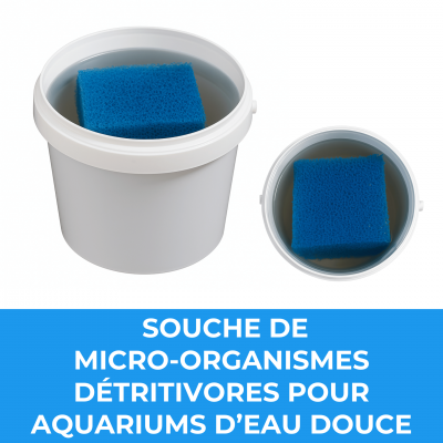 Souche de micro organismes detritivores pour aquariums d eau douce