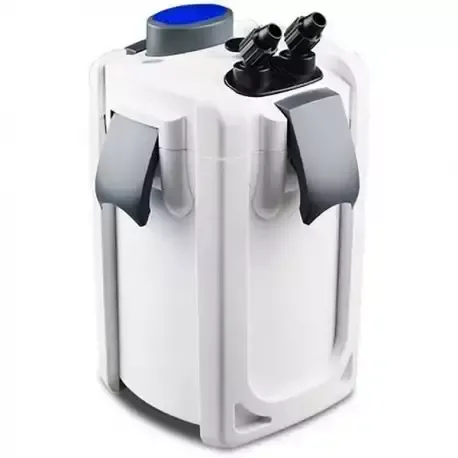 Comment optimiser la filtration d'un aquarium d'eau douce