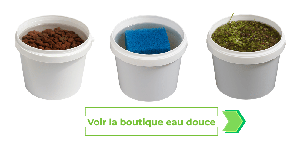 Voir la boutique eau de mer 3